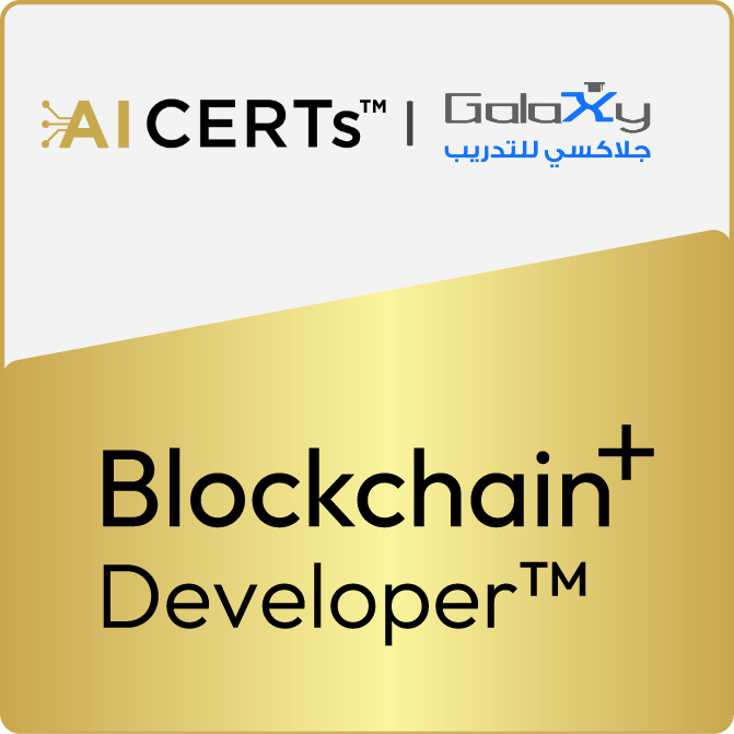 Blockchain+ Developer